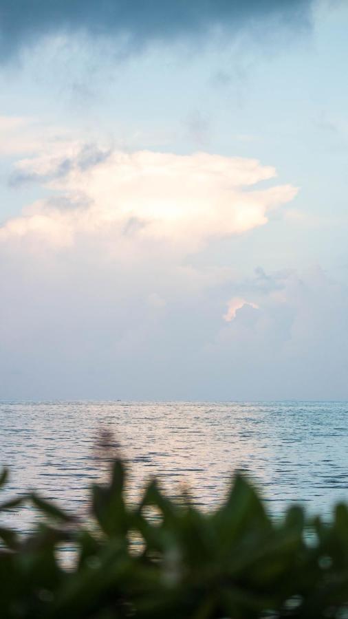 Quinta Punta Sam Βίλα Κανκούν Εξωτερικό φωτογραφία